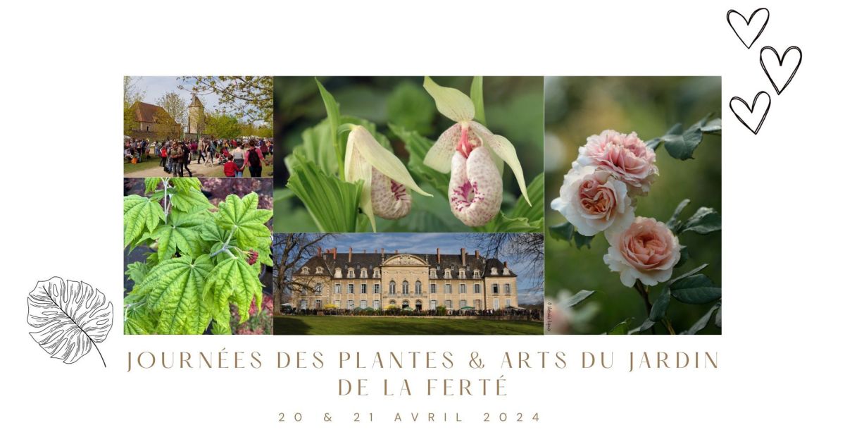 Journ Es Des Plantes Arts Du Jardin De La Fert Festival Saint