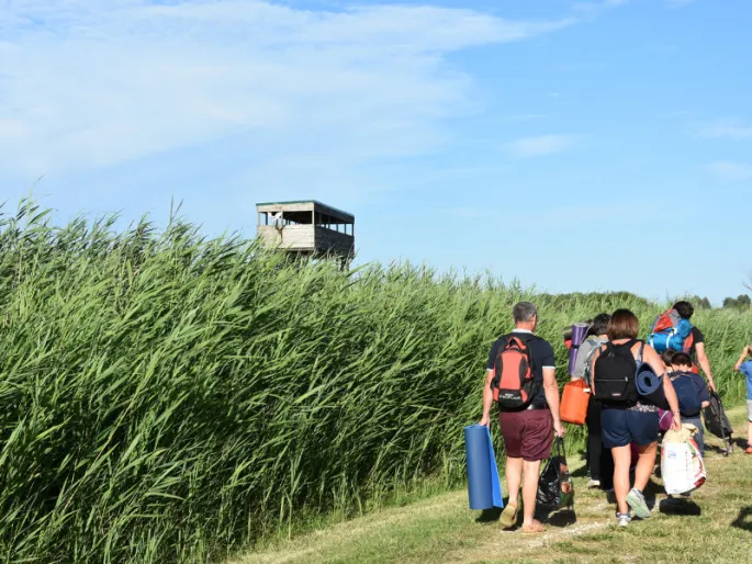 Bivouac Terres D Oiseaux Braud Et Saint Louis Date Horaires