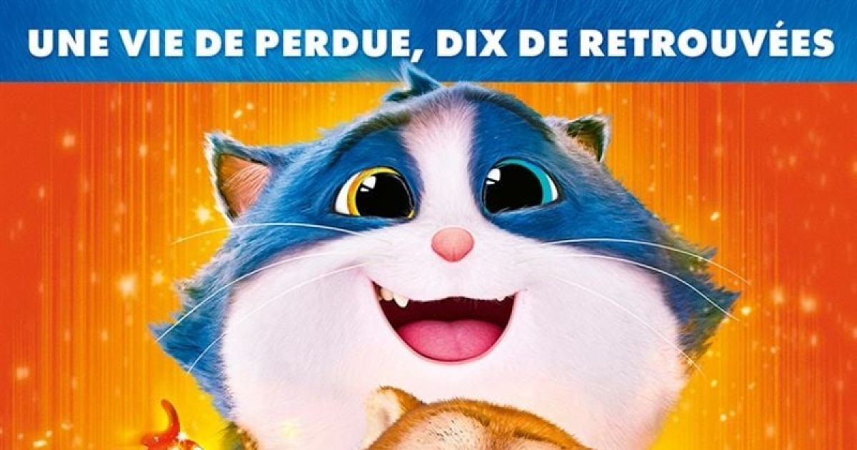 Cinéma Croquette le chat merveilleux Roquefort 2024 date horaires