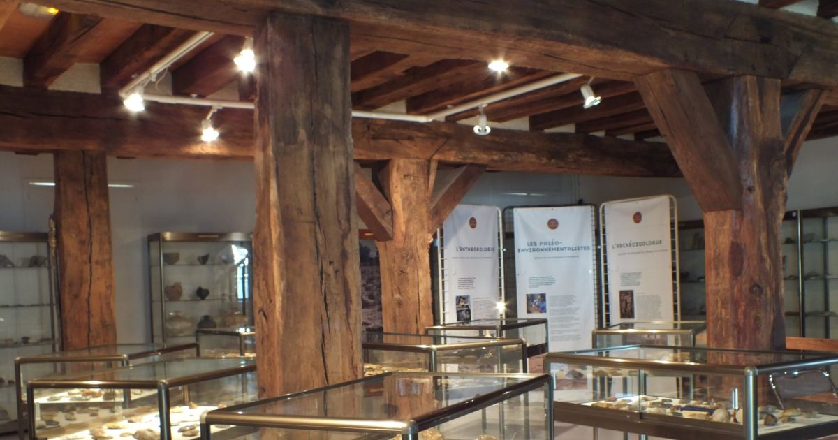 Nuit européenne des Musées visite guidée du musée municipal d