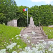 Visite guidée du Champ de Bataille de Verdun en Voiture - Bois des Caures