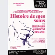 Histoire de mes seins