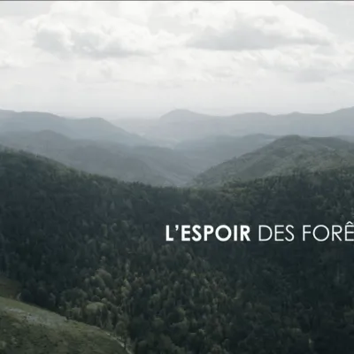 L’espoir des forêts 