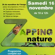 Projection - Zapping nature