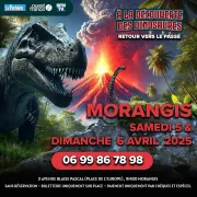 A la découverte des dinosaures, exposition 