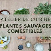 Atelier de cuisine gourmande de plantes sauvages comestibles