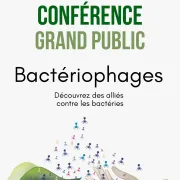 Les virus de bactéries, nouveaux alliés de la santé humaine et agricole