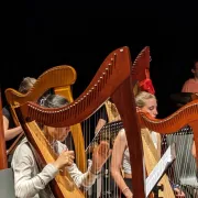 Harpe par l\'ensemble La Sardane