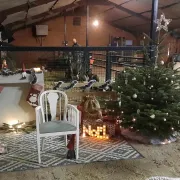 Journée de Noël à la ferme