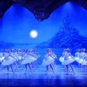 Le Lac des Cygnes - International Festival Ballet - Tournée