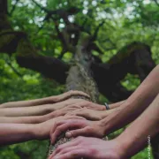 A la rencontre des arbres, à la rencontre de soi - Atelier Nature Adultes 