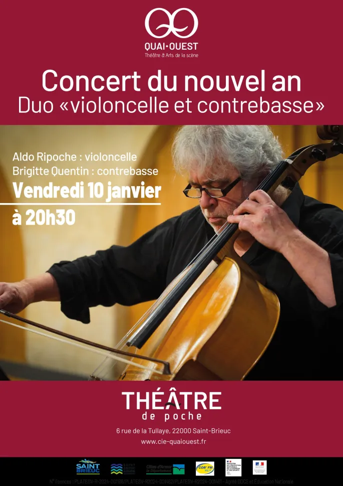 Concert du nouvel an : Duo de contrebasse et violoncelle