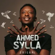 Ahmed Sylla Origami