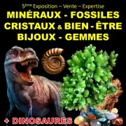 Salon Minéraux Fossiles + Dinosaures