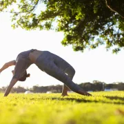 Yogarbre : yoga en forêt 