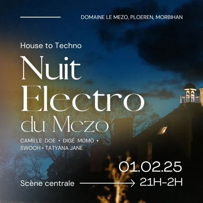 Nuit Electro du Mezo