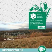 Visite guidée de la nouvelle Réserve naturelle à Bischoffsheim