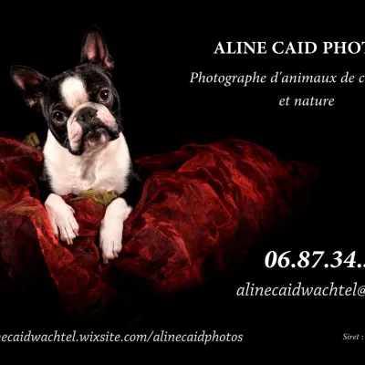 Aline Caid Photos