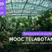 Mooc Télabotanica 