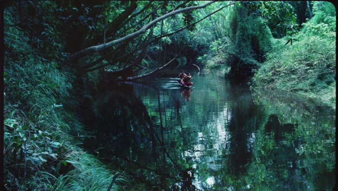 Projection & Rencontre avec l’artiste Théo de Gueltzl