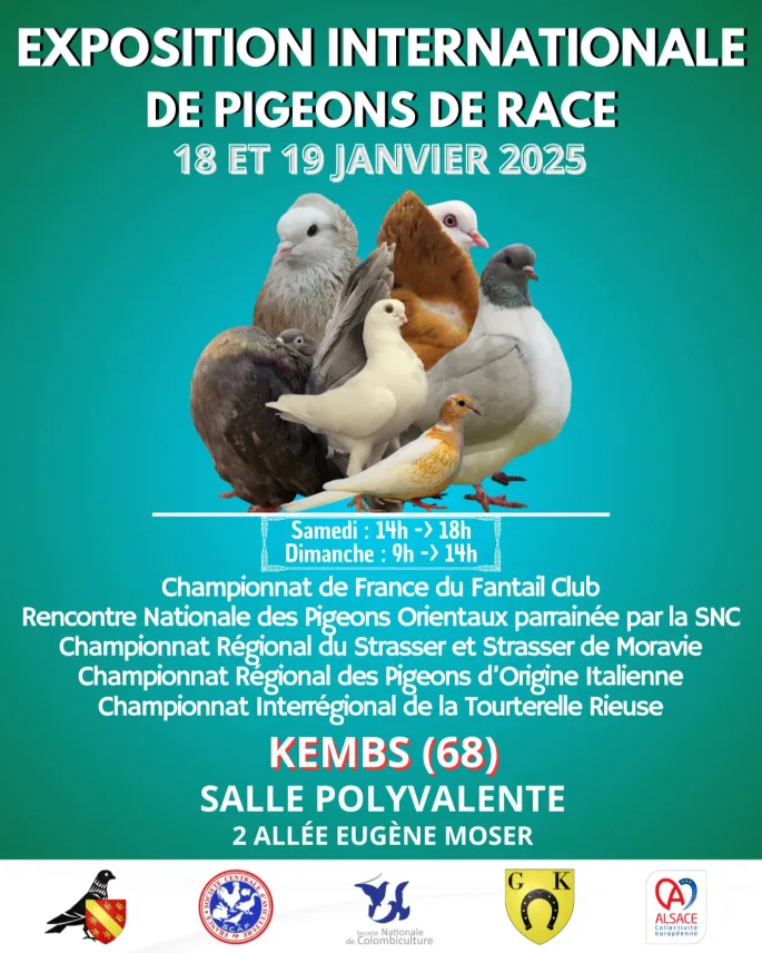 Exposition de pigeons de race