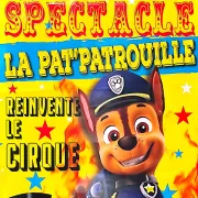 Pat'patrouille  