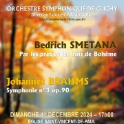 Concert Smetana Brahms