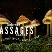 Conférence sur les champignons médicinaux par ARTENFORET