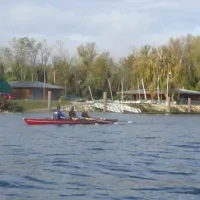 Aviron Club Région Colmar &copy; Lenne O.