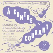 Salon à Contre courant