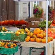 Fête de la Citouille à Rosheim