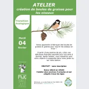 Atelier DIY - Boules de graisse pour oiseaux