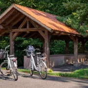 À la découverte de la Forêt d\'Exception® à vélo