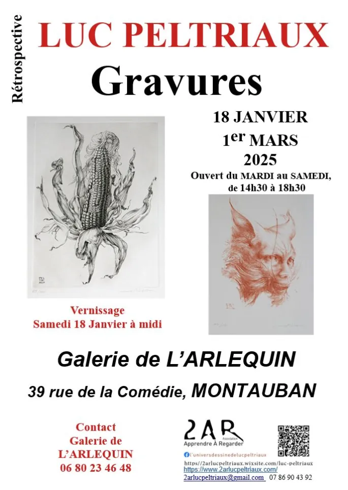 Gravures de Luc Peltriaux   