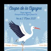 Championnat Grand Est Coupe de la Cigogne Patinage Artistique 