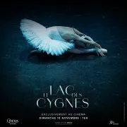 Ballet : Le Lac des Cygnes