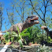 Exposition de dinosaures • Dinosaurs World à Maubeuge en 2024