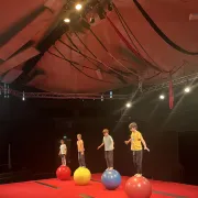 Stages cirque à la journée