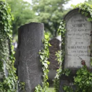 Le cimetière, entre art et histoire