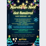 Marché de Noël des lumières