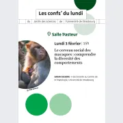 Le cerveau social des macaques : comprendre la diversité des comportements 