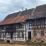 Visites de la fouille archéologique de Breuschwickersheim, 35 rue Principale