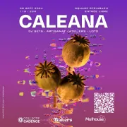 Caleana - Un festival au cœur de Mulhouse