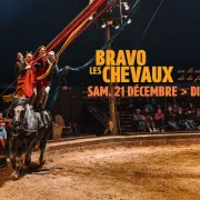 Bravo les chevaux, spectacle équestre par le cirque Pagnozoo