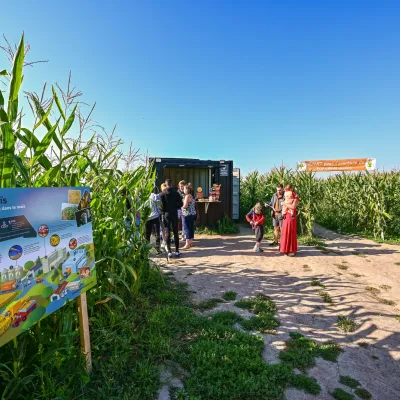 Pop Corn Labyrinthe Berck (Verton)