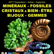 45ème Salon Minéraux Fossiles Cristaux & Bien-Être Bijoux et Gemmes