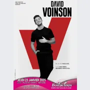 David Voinson