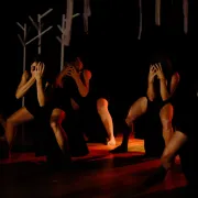 Spectacle de danse : Noce au Cœur de l'Ombre