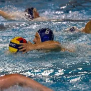 Water-Polo N3 - Mulhouse rencontre Molsheim-Mutzig