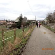 48ème Marche Populaire Hégenheim